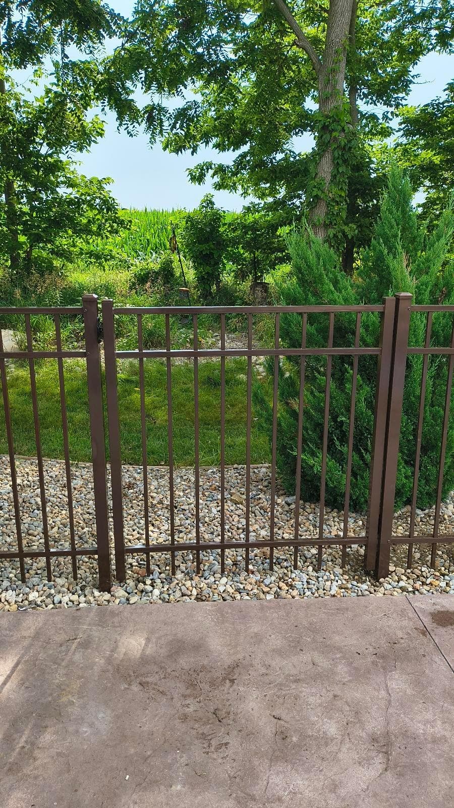 A black aluminum gate stands between the lawn and garden plants.