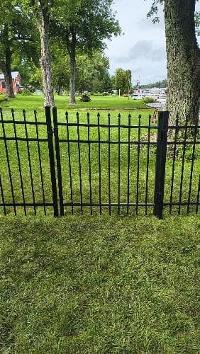 Black aluminum fencing stands among grass, trees and garden plants.
