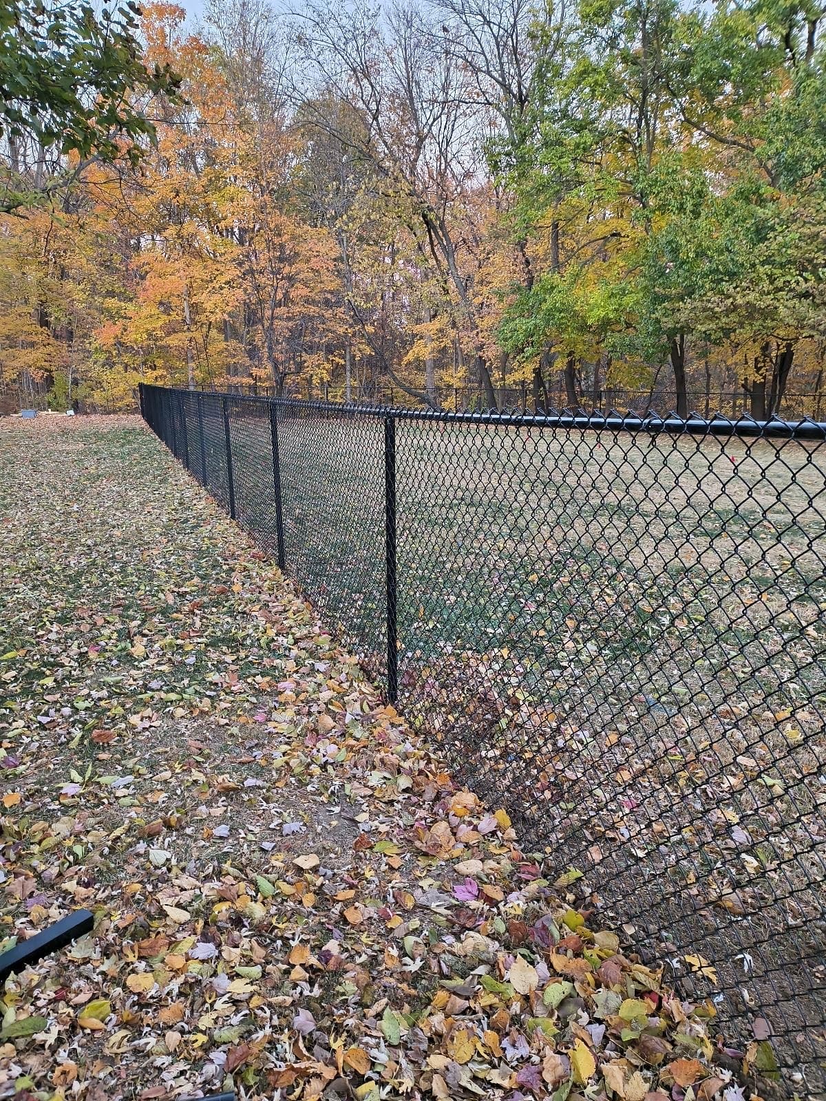 Black chain-link fencing follows a paved path beside trees.
