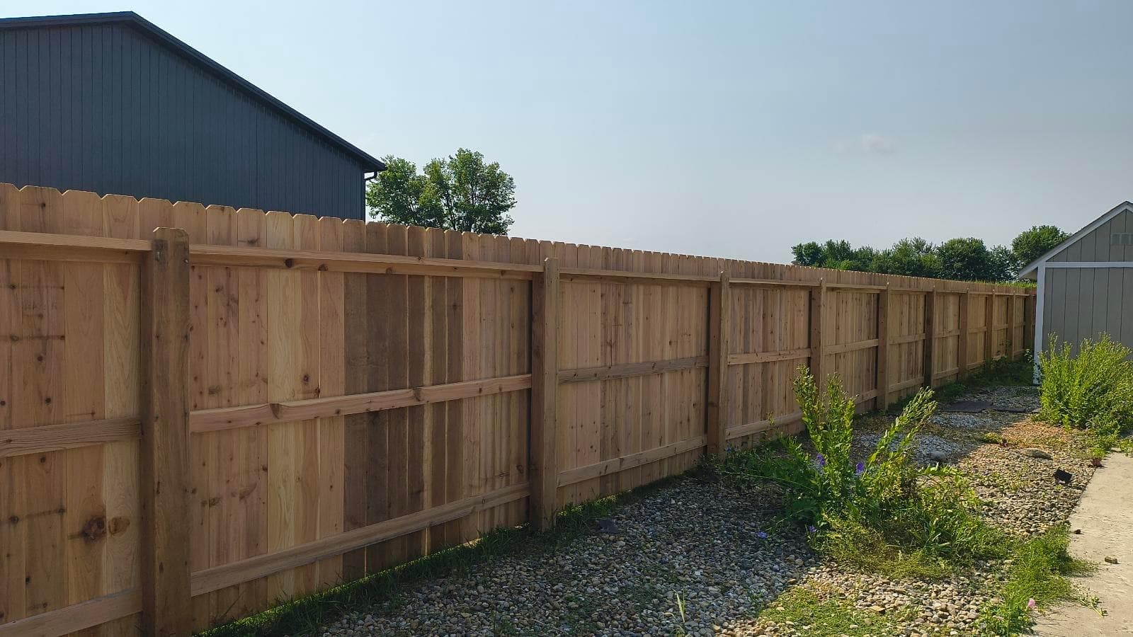 Horizontal support rails and posts are visible along a wood fence.
